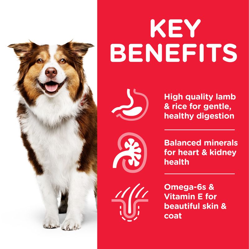 Hill’s Science Plan Mature Adult 7+ Medium with Lamb & Rice || Hill's Science Plan || view 4