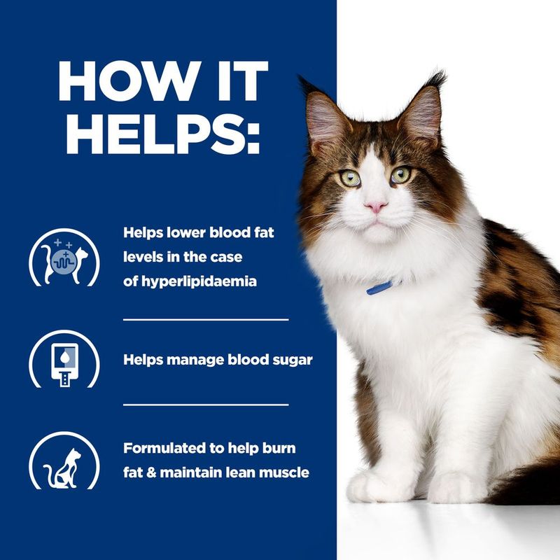 Hill's Prescription Diet Feline w/d Multi-Benefit - Chicken || Hill's Prescription Diet || view 6