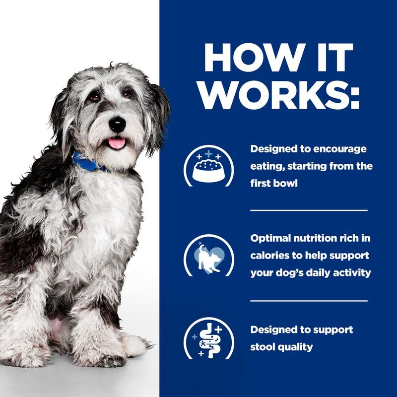 Hill's Prescription Diet On-Care with Chicken || Hill's Prescription Diet || view 5