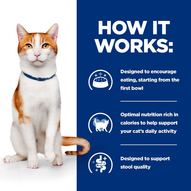 Hill's Prescription Diet On-Care with Chicken || Hill's Prescription Diet || view 4