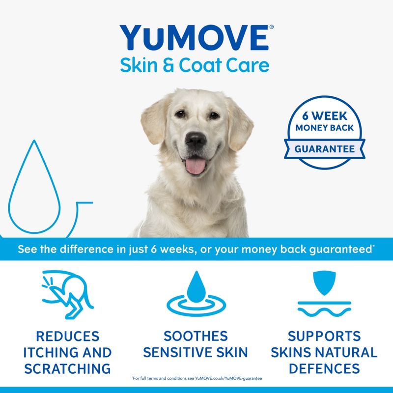 YuMOVE Skin & Coat Care Itching for All Dogs || YuMOVE || view 5