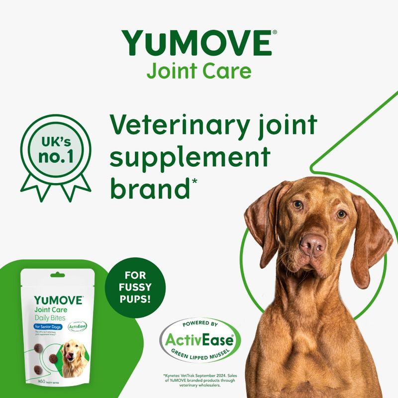 YuMOVE Joint Care Daily Bites for Senior Dogs || YuMOVE || view 2