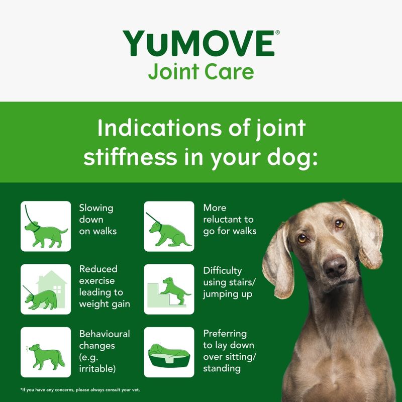 YuMOVE Joint Care Daily Bites for Senior Dogs || YuMOVE || view 3