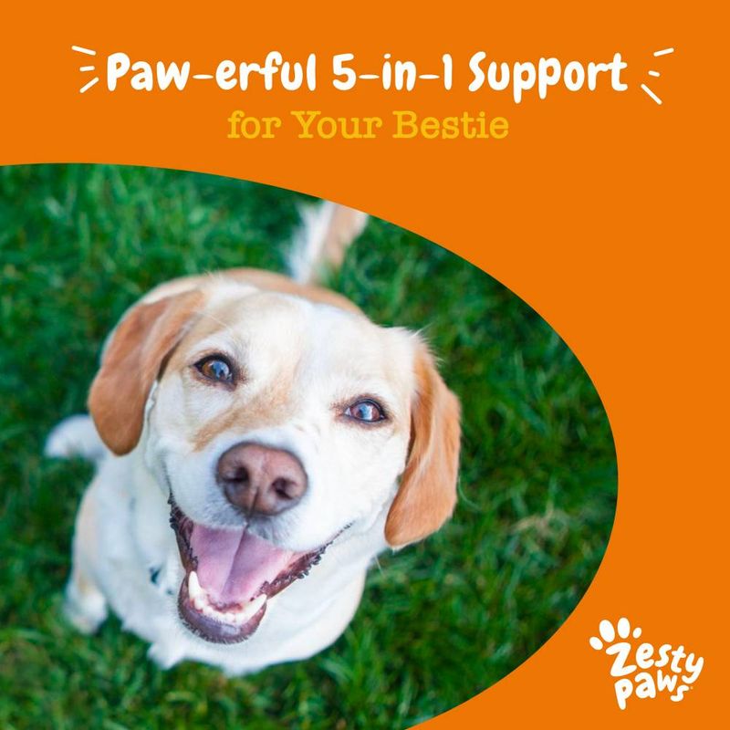 Zesty Paws 5-in-1 Chews Multifunctional - Turkey || Zesty Paws || view 7