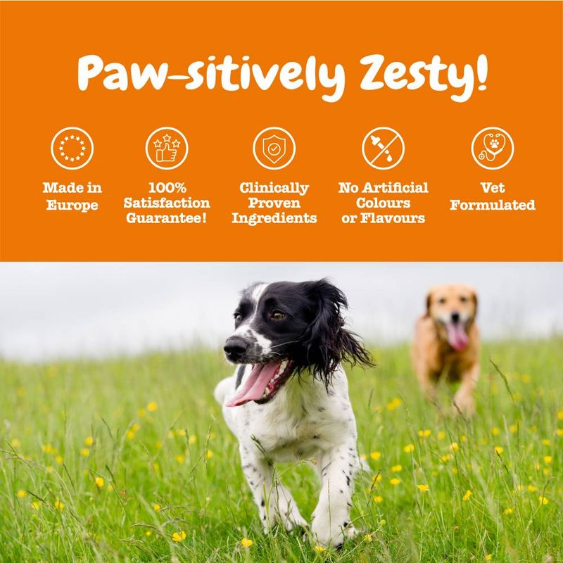 Zesty Paws Allergy & Immunity Chews - Salmon || Zesty Paws || view 6