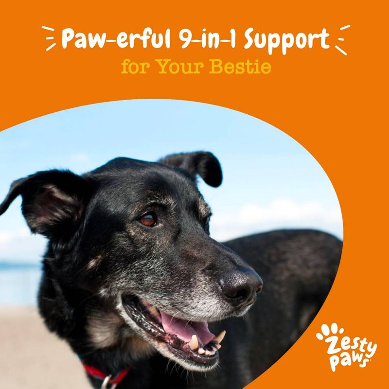 Zesty Paws Senior Advanced 9-in-1 Chews Multifunctional - Turkey || Zesty Paws || view 7