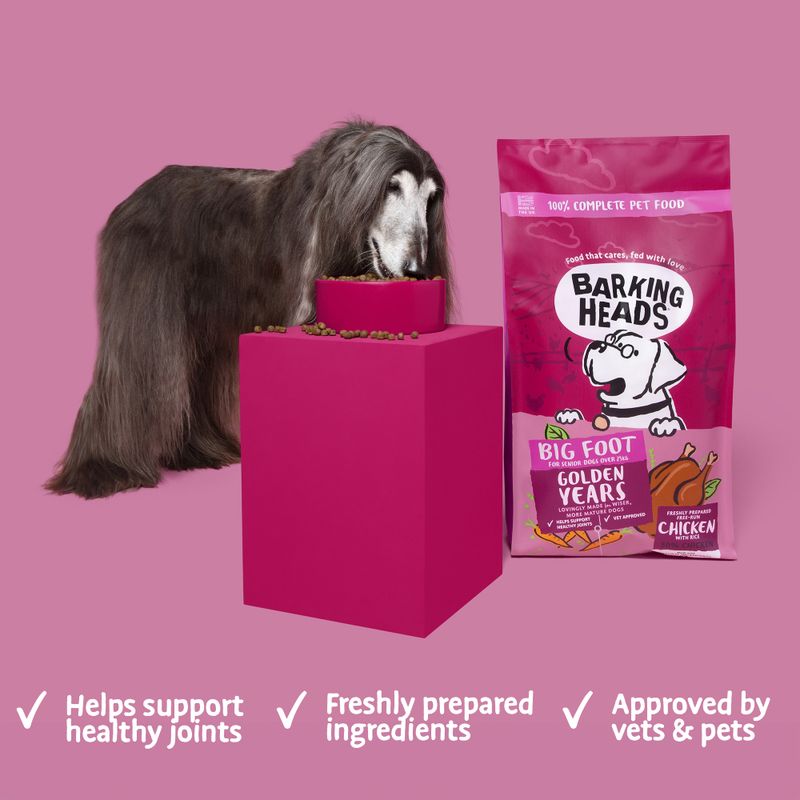 Barking Heads Big Foot Golden Years || barking heads || view 4