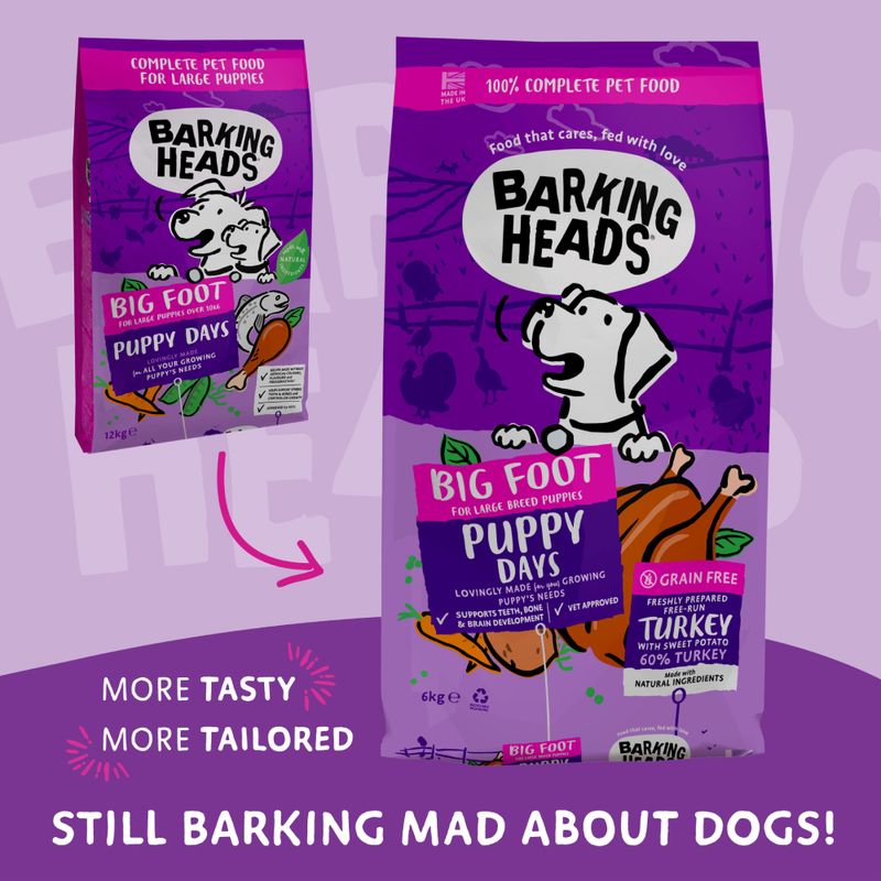 Barking Heads Big Foot Puppy Days || barking heads || view 1
