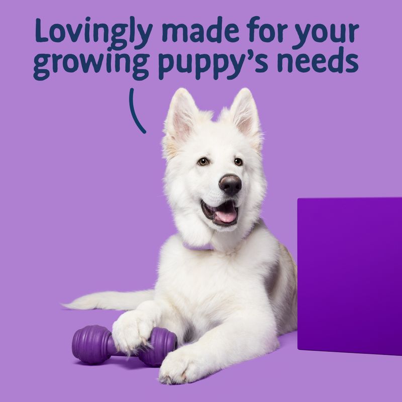 Barking Heads Big Foot Puppy Days || barking heads || view 8