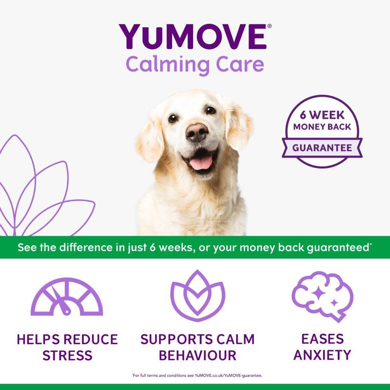 YuMOVE Calming Care for Adult Dogs || YuMOVE || view 7