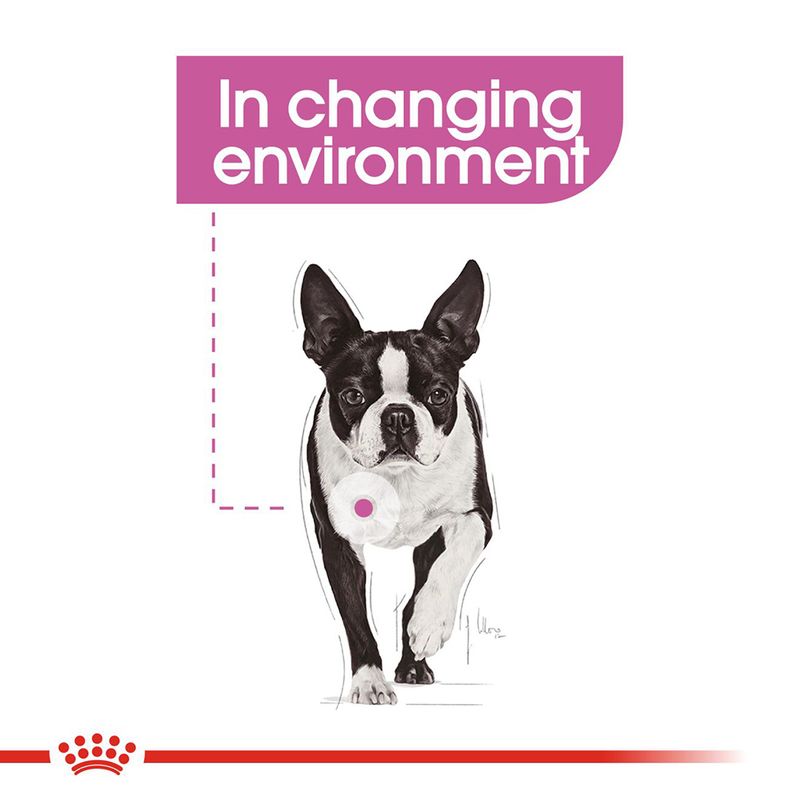 Royal Canin Relax Care Mini || Royal Canin Care Nutrition || view 3