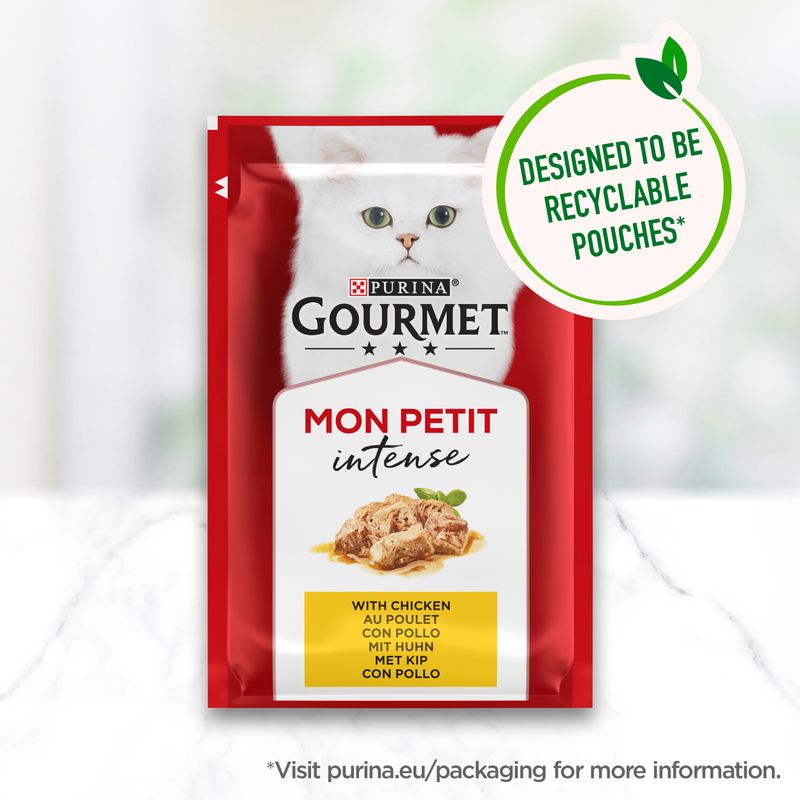 Gourmet Mon Petit || undefined || view 16