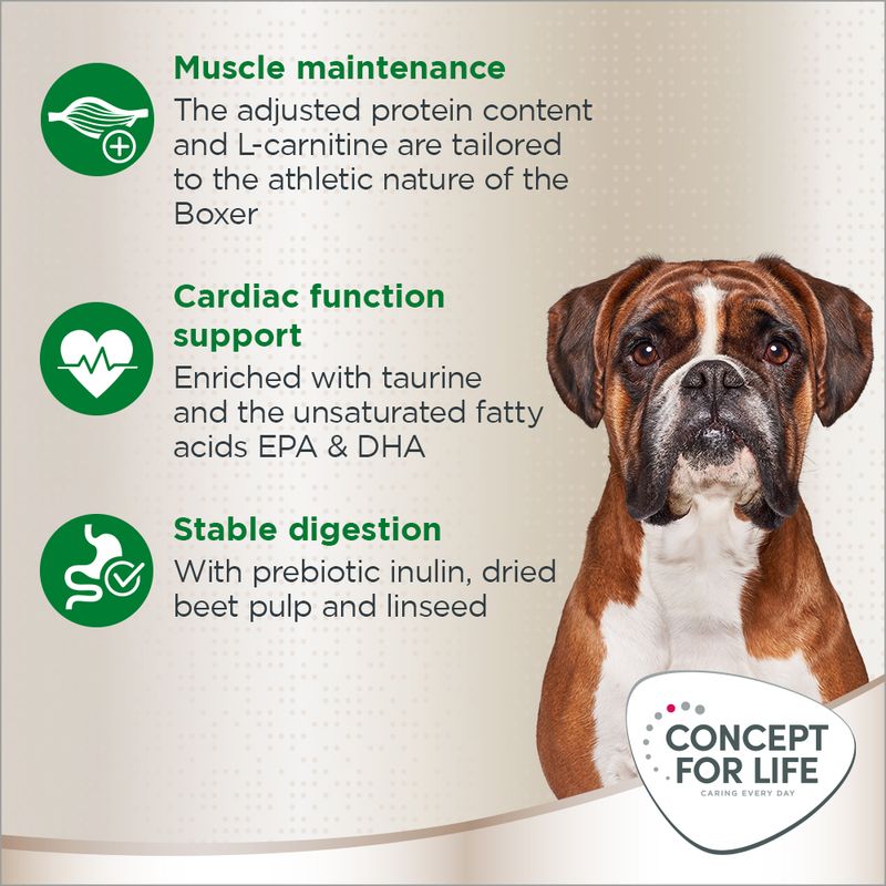 Concept for Life Boxer Adult || Concept for Life || view 4