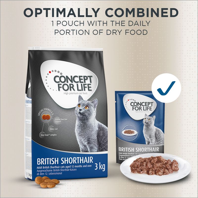 Concept for Life British Shorthair Adult || Concept for Life || view 13