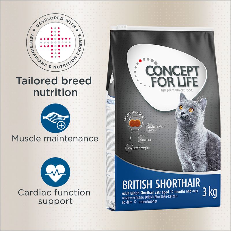 Concept for Life British Shorthair Adult || Concept for Life || view 1