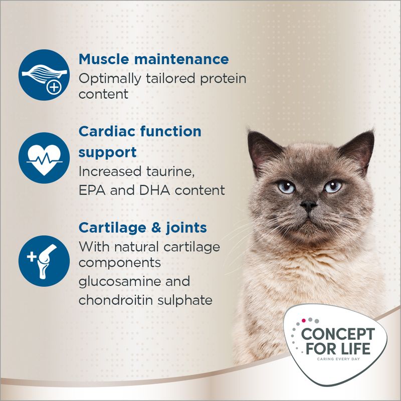 Concept for Life British Shorthair Adult || Concept for Life || view 4