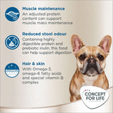 Concept for Life French Bulldog Adult || Concept for Life || view 4