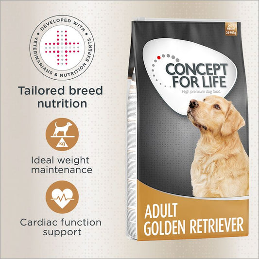 Concept for Life Golden Retriever Adult || Concept for Life || view 1
