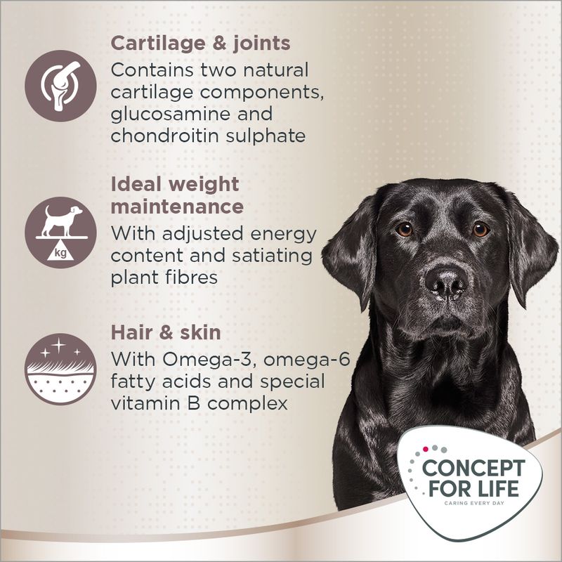 Concept for Life Labrador Retriever Adult || Concept for Life || view 4