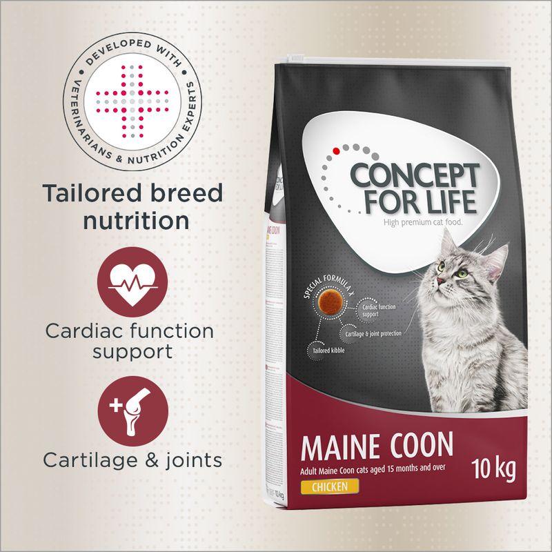 Concept for Life Maine Coon Adult || Concept for Life || view 1