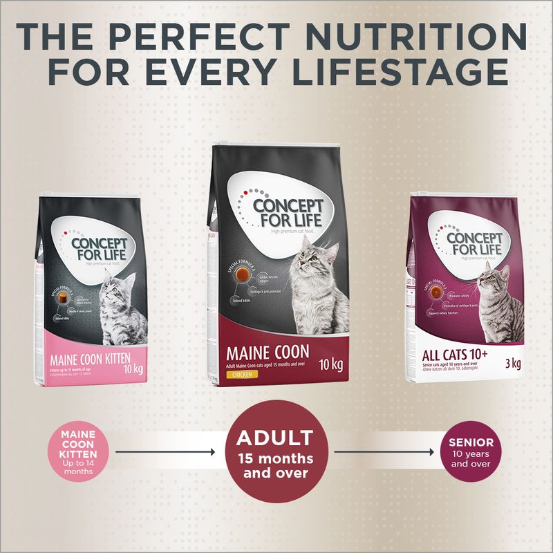 Concept for Life Maine Coon Adult || Concept for Life || view 12