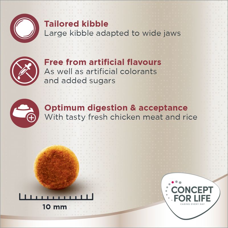 Concept for Life Maine Coon Adult || Concept for Life || view 8