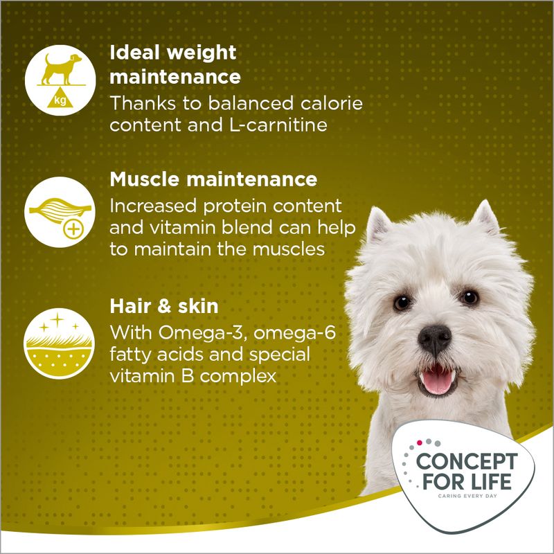 Concept for Life Mini Adult || Concept for Life || view 4