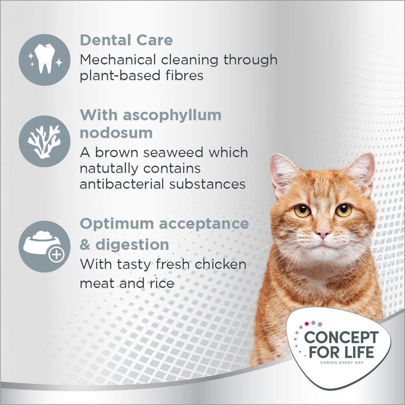 Concept for Life Oral Care || Concept for Life || view 4