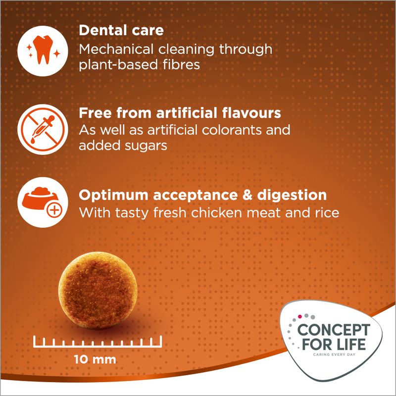 Concept for Life Outdoor Cats || undefined || view 5