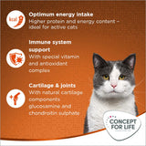 Concept for Life Outdoor Cats || undefined || view 4