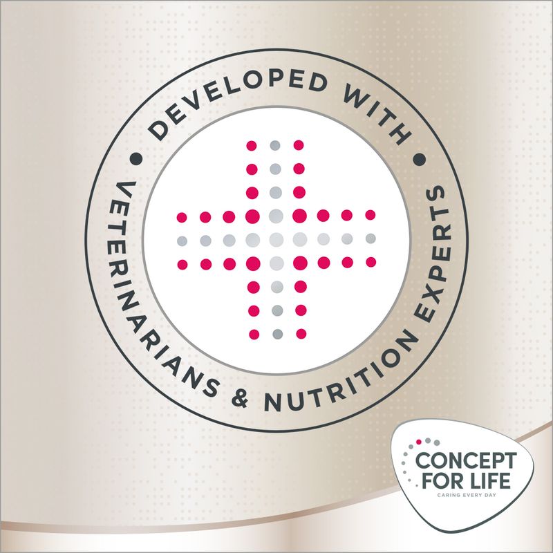 Concept for Life Labrador Retriever Adult || Concept for Life || view 11