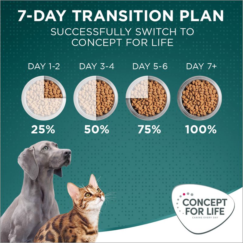 Concept for Life Large Senior || Concept for Life || view 13