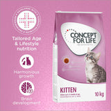 Concept for Life Kitten || Concept for Life || view 1