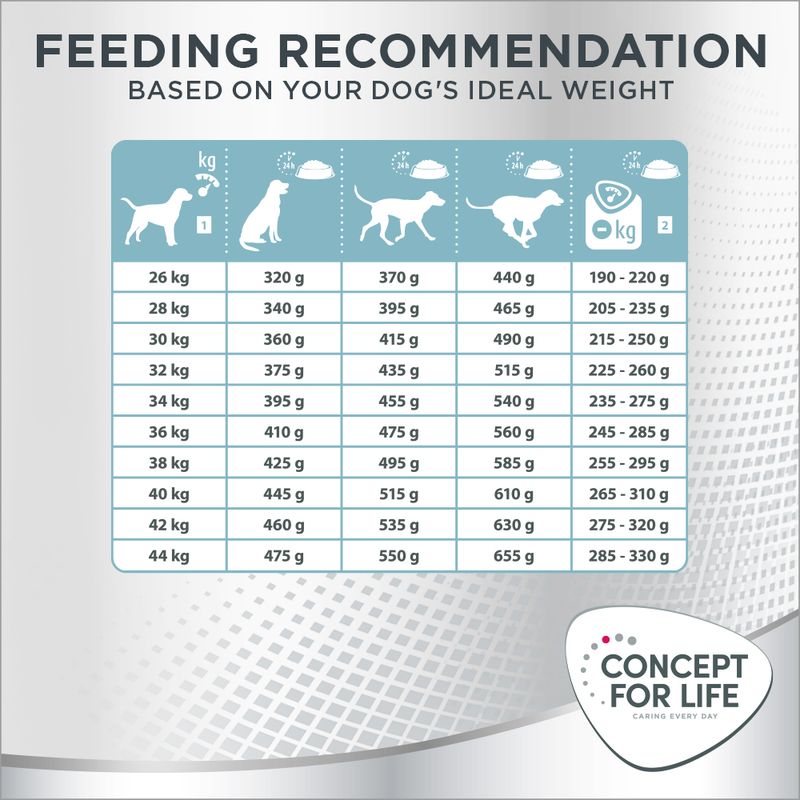 Concept for Life Large Light || Concept for Life || view 8