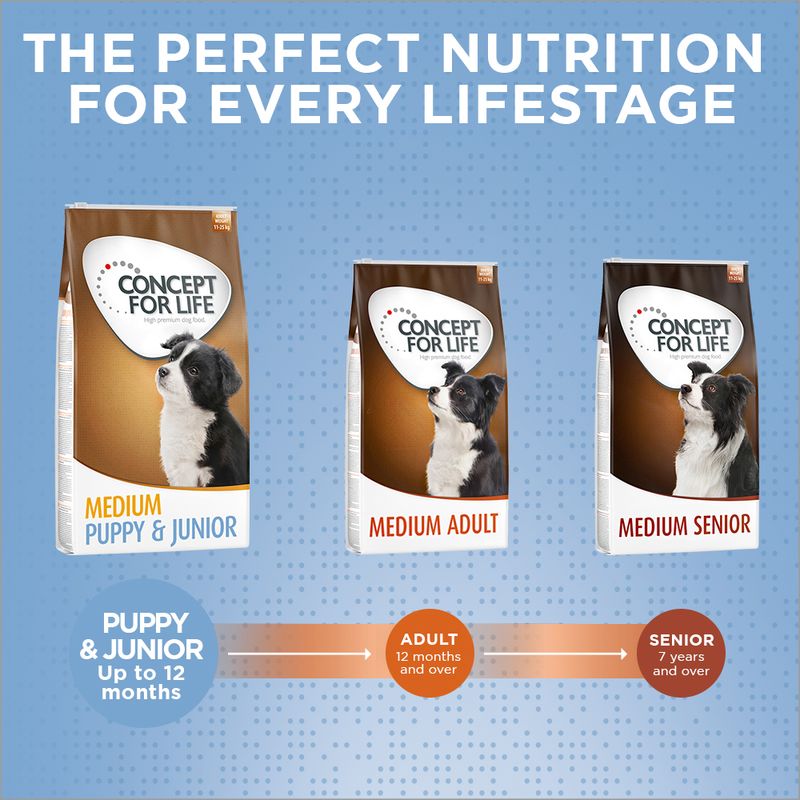 Concept for Life Medium Puppy & Junior || Concept for Life || view 10