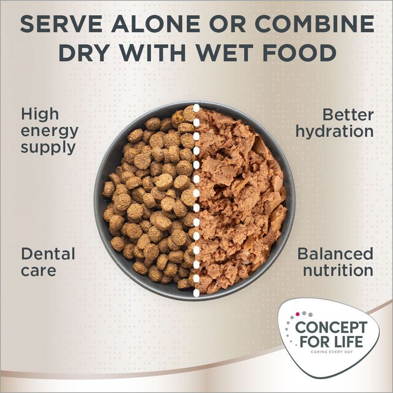 Concept for Life Maine Coon Adult || Concept for Life || view 18