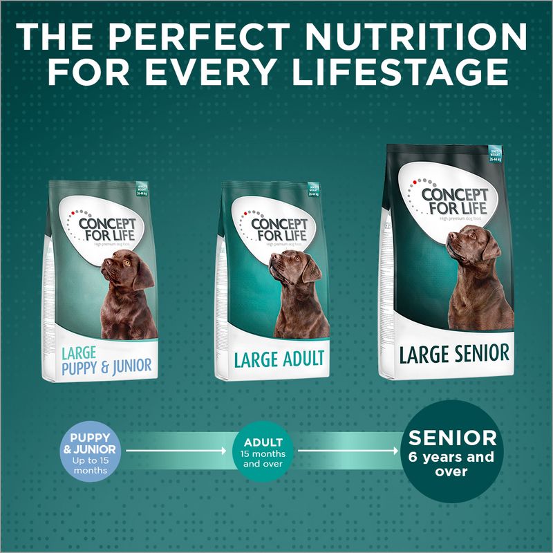 Concept for Life Large Senior || Concept for Life || view 9