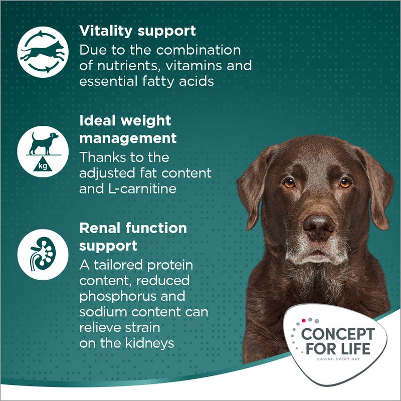 Concept for Life Large Senior || Concept for Life || view 4
