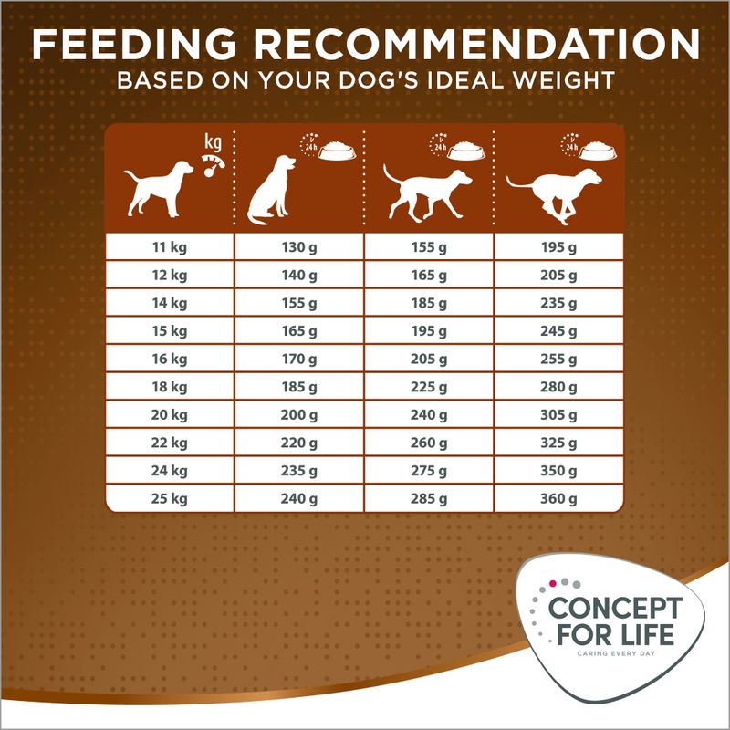 Concept for Life Medium Senior || Concept for Life || view 8