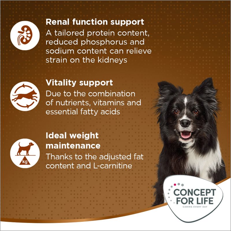 Concept for Life Medium Senior || Concept for Life || view 4
