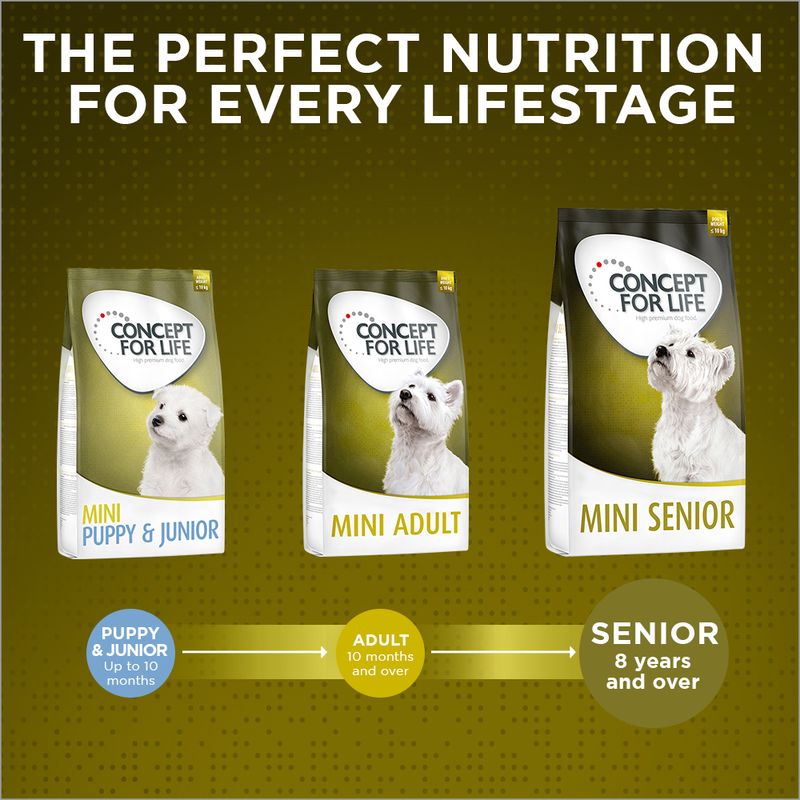 Concept for Life Mini Senior || Concept for Life || view 8