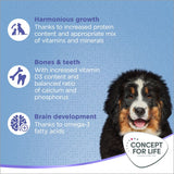 Concept for Life X-Large Puppy & Junior || Concept for Life || view 4