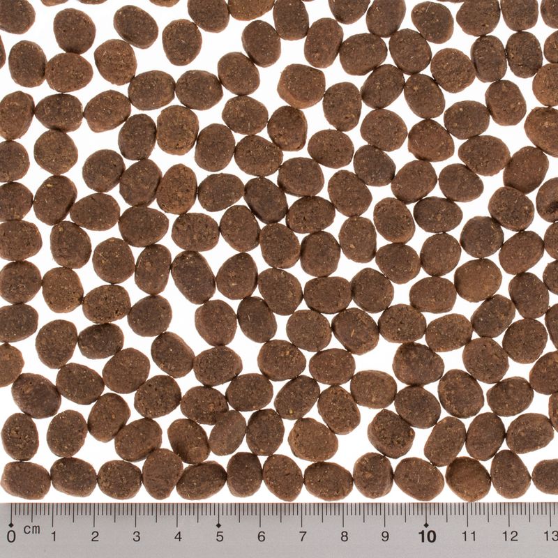 Wild Freedom Grain-Free - 1 x 150g || Wild Freedom || view 5