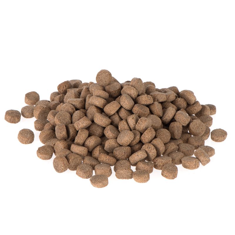 Briantos Adult Light || briantos || view 5