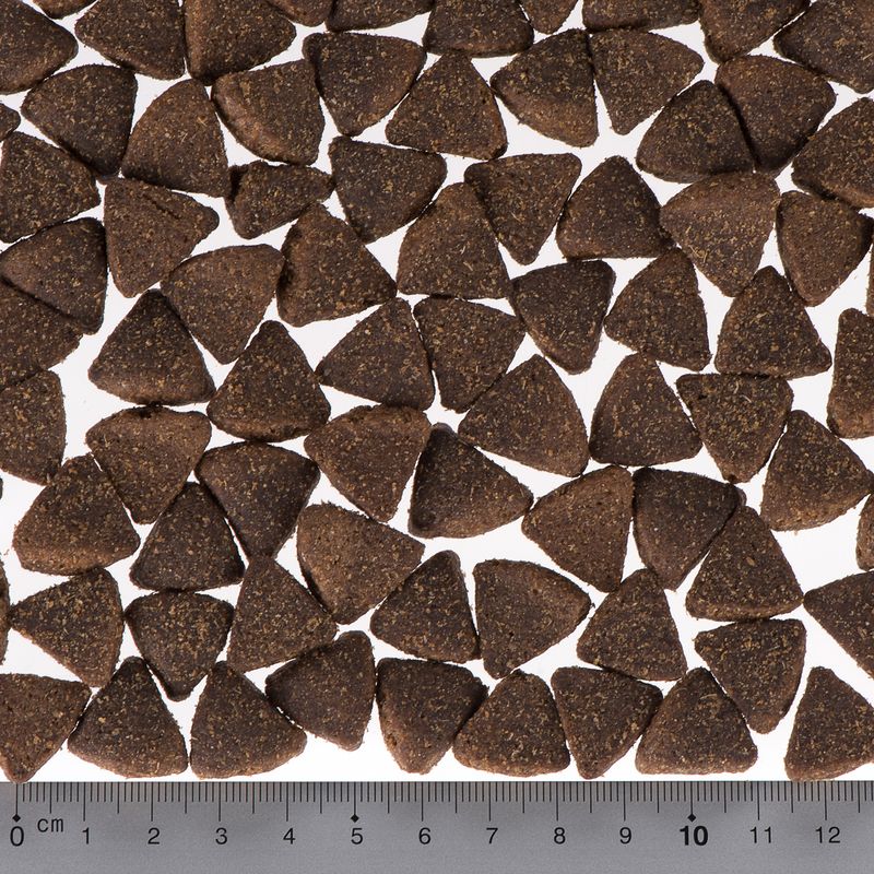 Briantos Adult Active || briantos || view 4