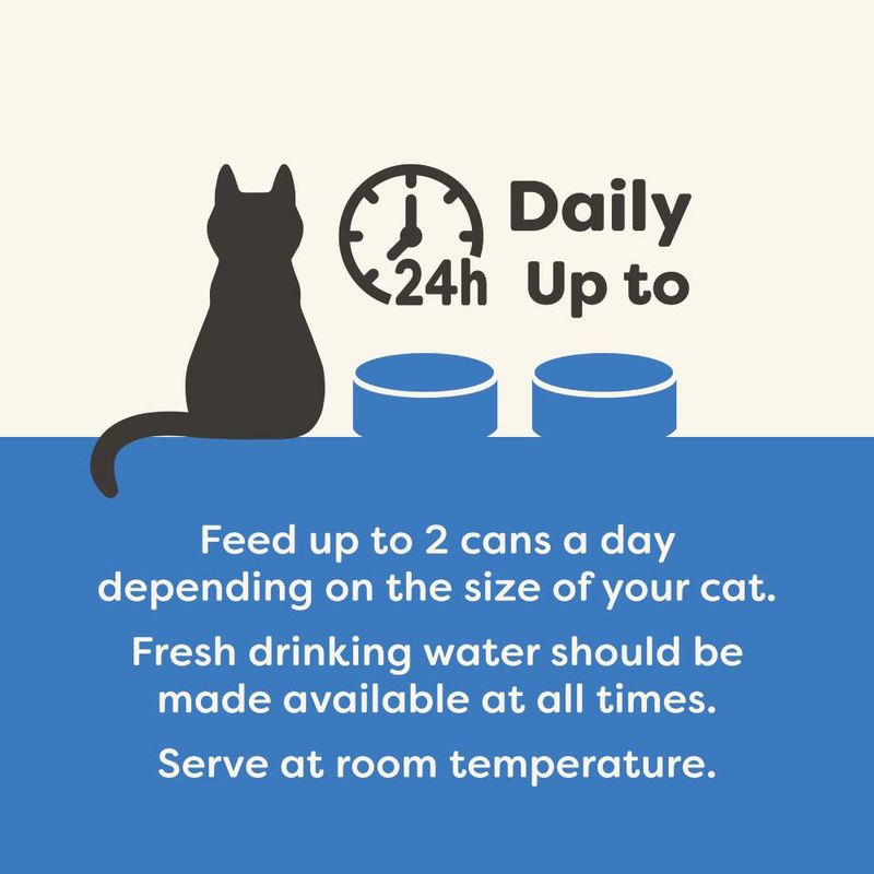Applaws Adult Cat Cans in Mousse 70g || undefined || view 10