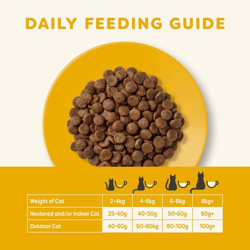 Applaws Chicken Cat Food || undefined || view 5