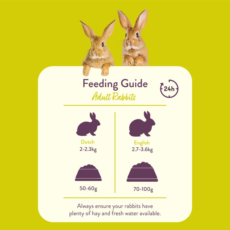 Burgess Excel Adult Rabbit Nuggets with Mint || undefined || view 4