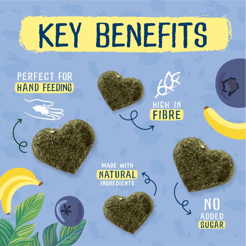 Burgess Excel Nature Snacks Fruity Feasts || undefined || view 2