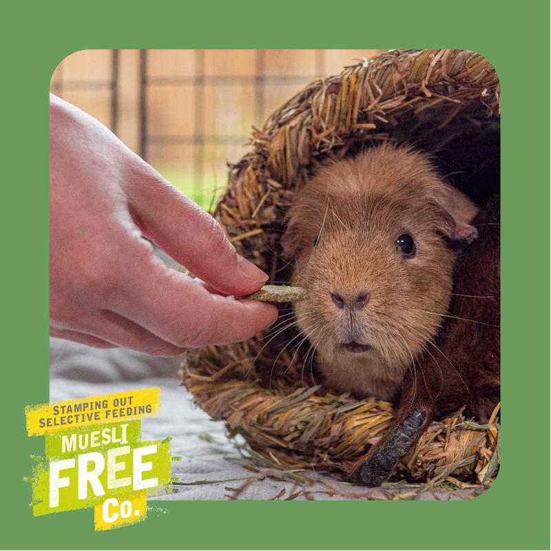 Burgess Excel Nature Snacks Herby Hearts || undefined || view 4